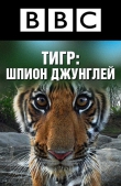 BBC: Тигр – Шпион джунглей